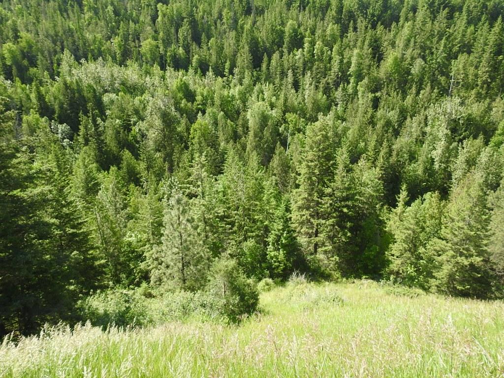 









43


Sigalet

Road,
Lumby,




BC
V0E 2G6

