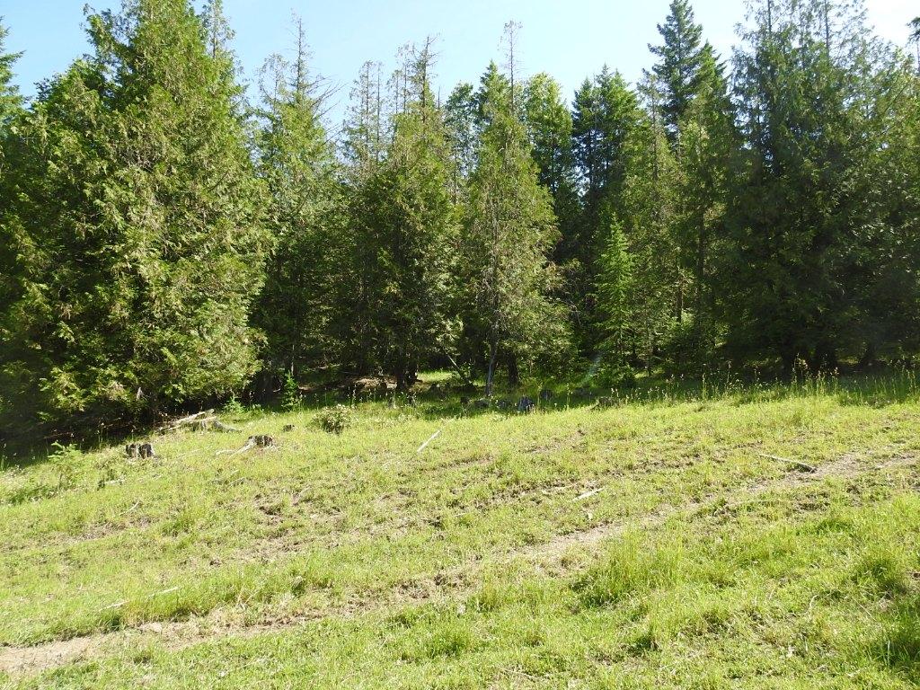 









43


Sigalet

Road,
Lumby,




BC
V0E 2G6

