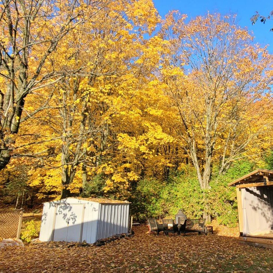 









2643


Av. Glenada

,
Shawinigan,




QC
G9N6L2

