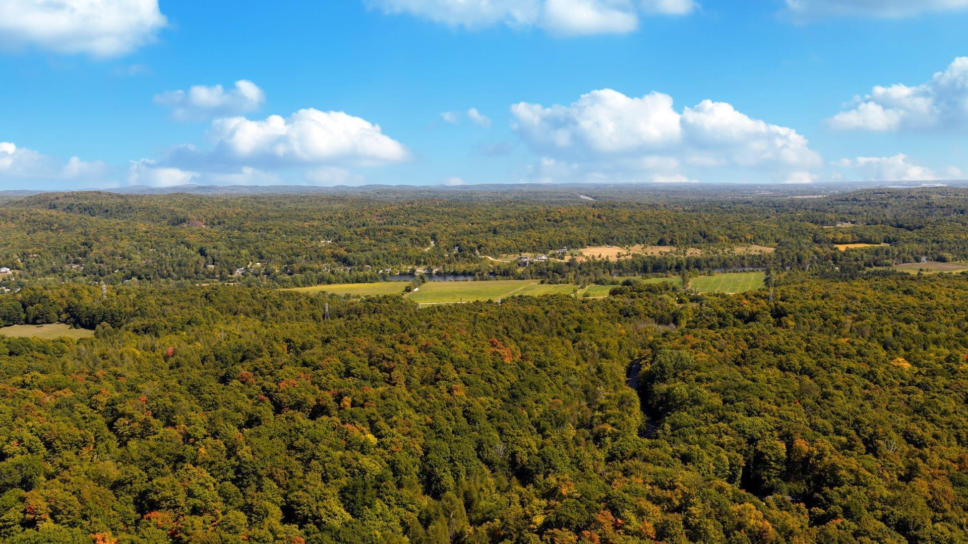 









2326


Ch. Lonsdale E.

,
L'Ange-Gardien,




QC
J8L0G1

