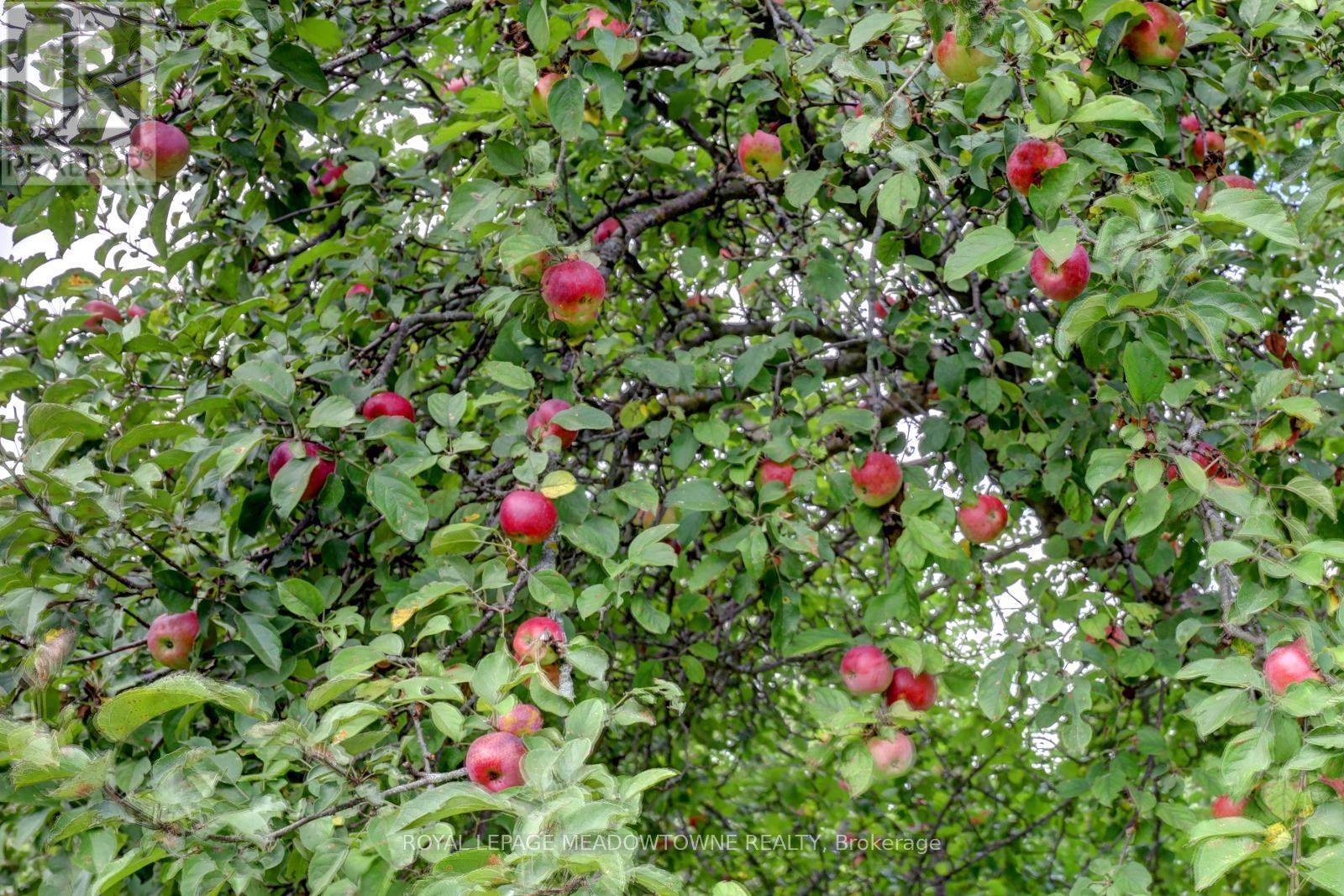 












6824 10TH LINE

,
New Tecumseth,




Ontario
L0G1A0

