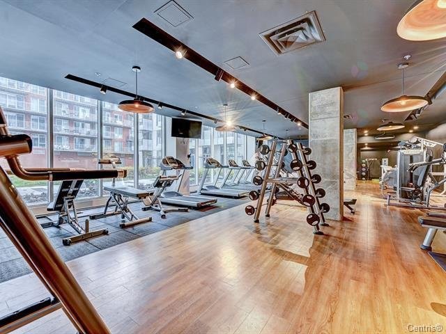 









738


Rue St-Paul O.

, 1505,
Montréal (Ville-Marie),




QC
H3C0N5

