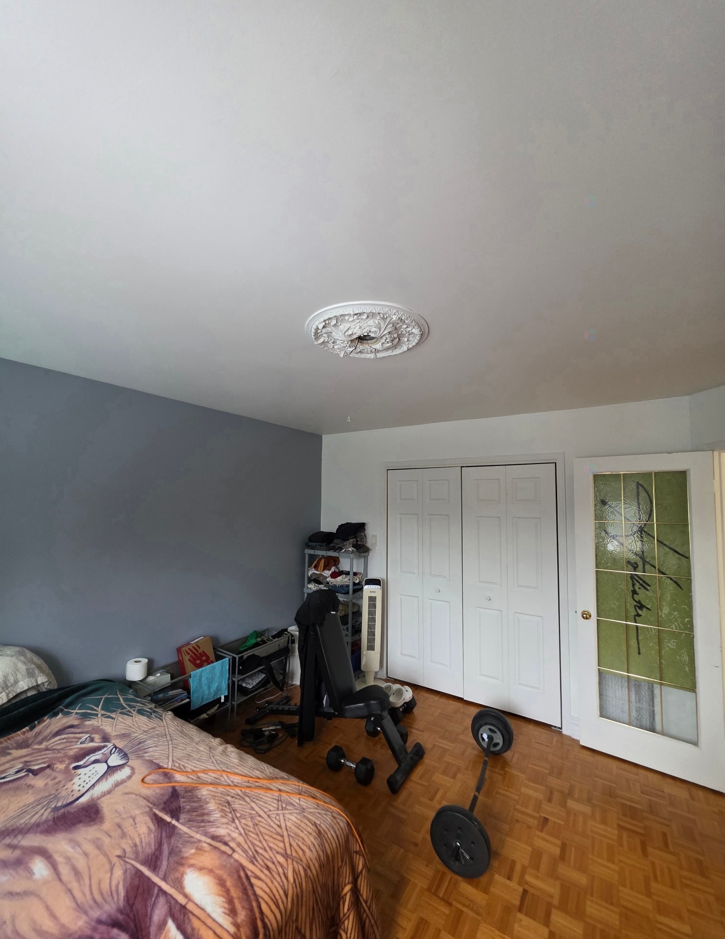 









5395


Rue Boisjoli

,
Longueuil (Saint-Hubert),




QC
J3Y6C3

