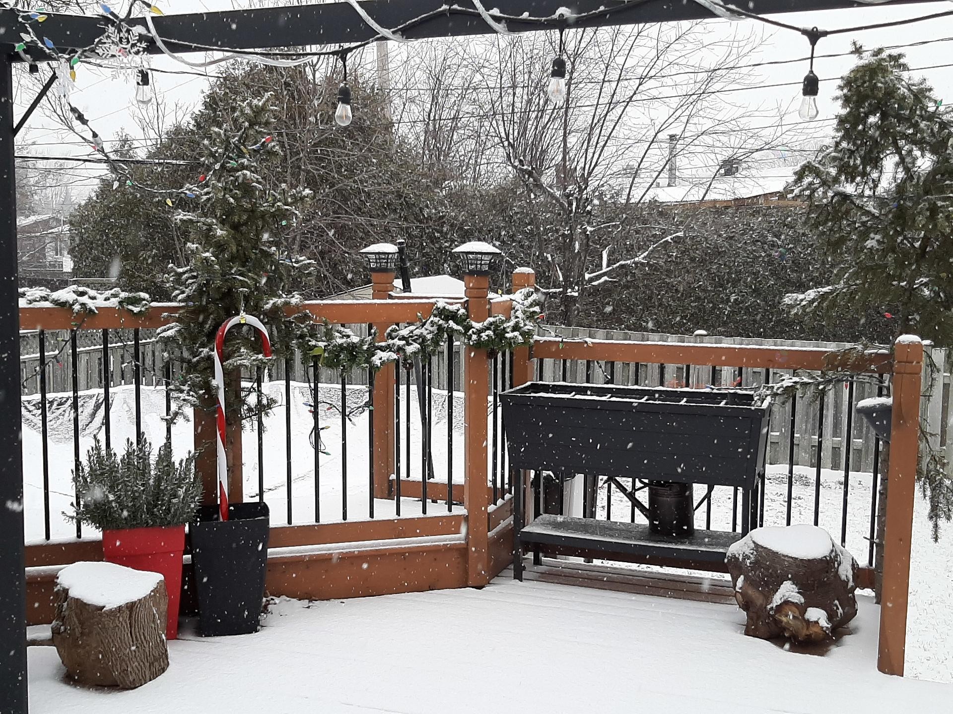 









7515


Rue Trudeau

,
Brossard,




QC
J4W2N5

