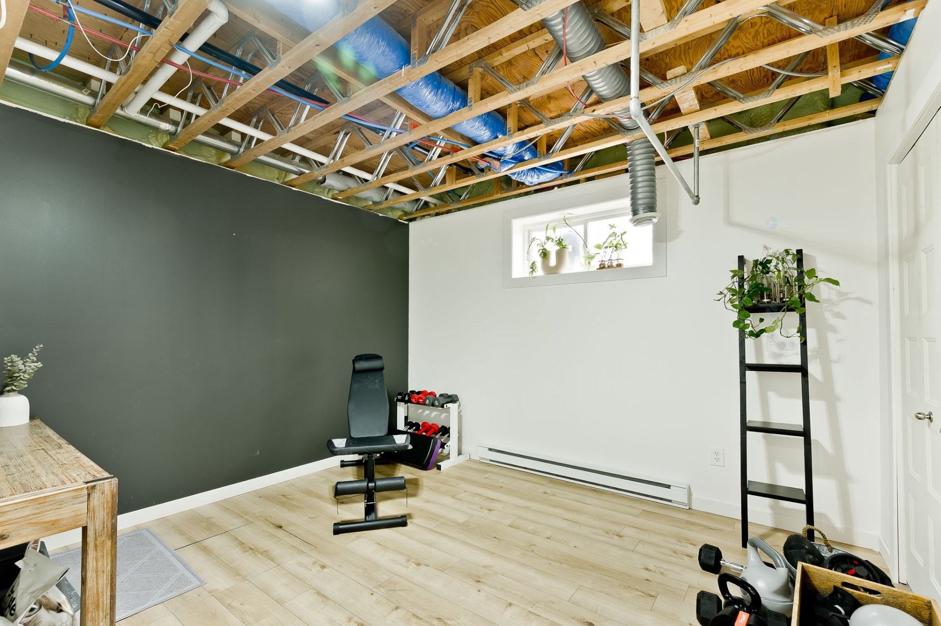 









4702


Rue des Chanterelles

,
Sherbrooke (Brompton/Rock Forest/Saint-Élie/Deauville),




QC
J1N4J6

