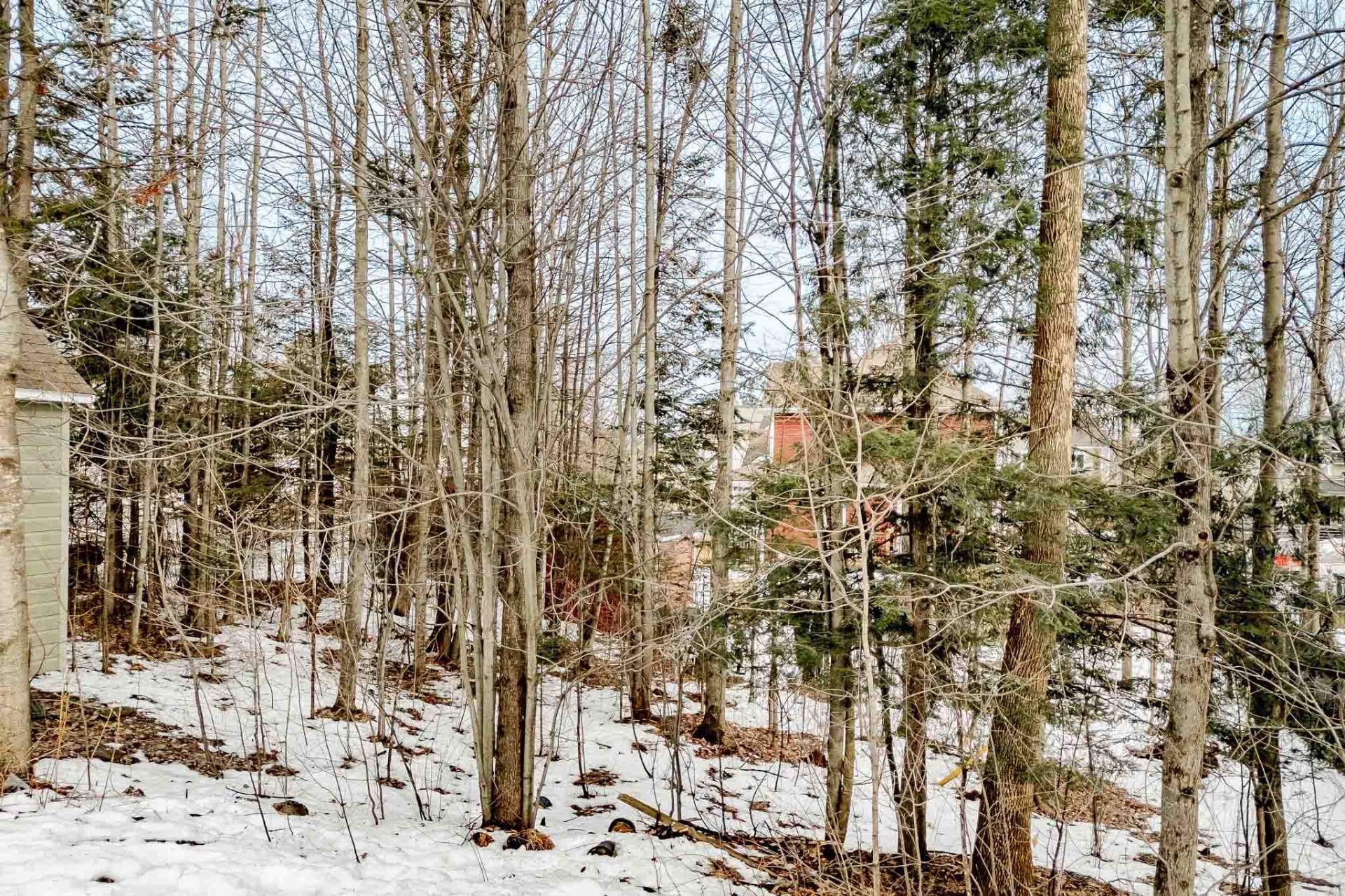 









4702


Rue des Chanterelles

,
Sherbrooke (Brompton/Rock Forest/Saint-Élie/Deauville),




QC
J1N4J6

