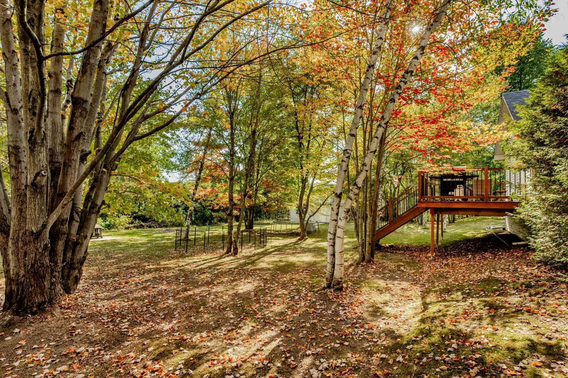 









850


Av. du Parc

,
Sherbrooke (Brompton/Rock Forest/Saint-Élie/Deauville),




QC
J1N3N8

