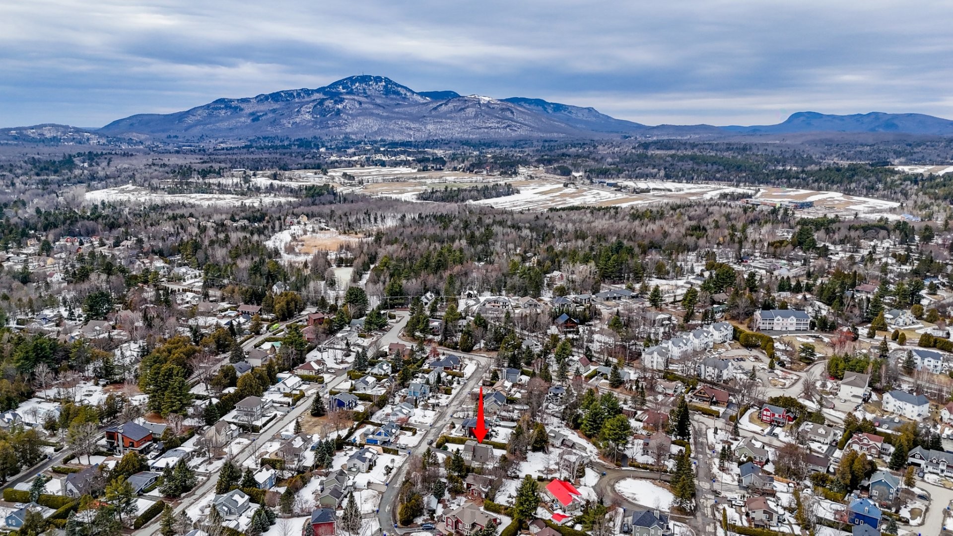 









2260


Rue Galipeau

,
Magog,




QC
J1X5V1

