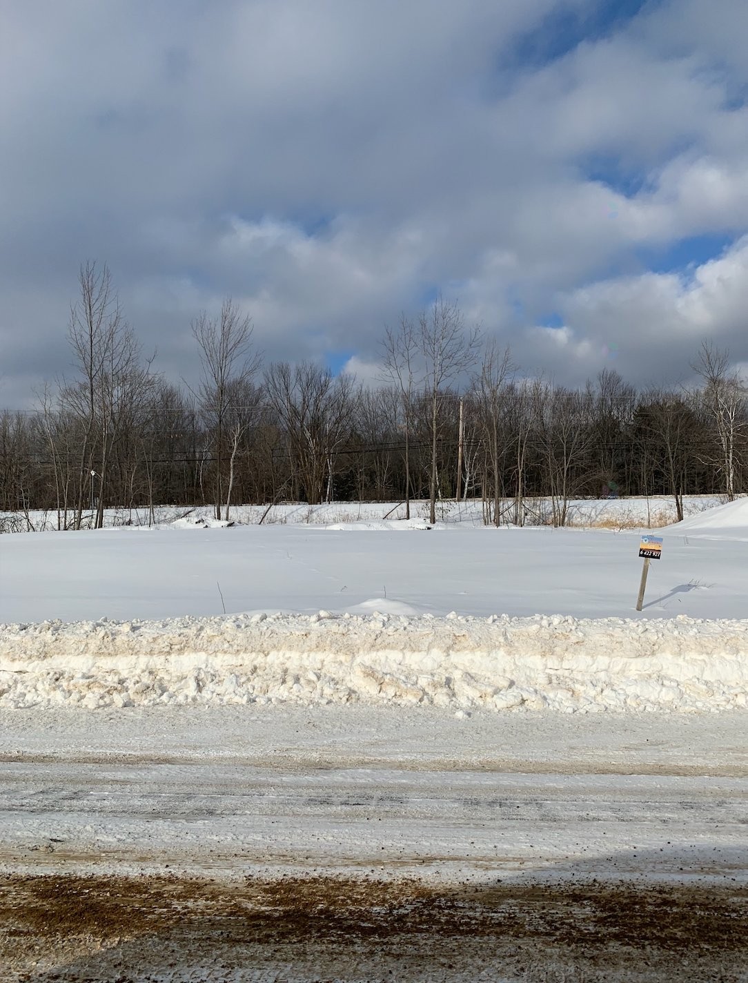 









2668


Ch. Salomon-Dicaire

,
Papineauville,







QC
J0V1R0

