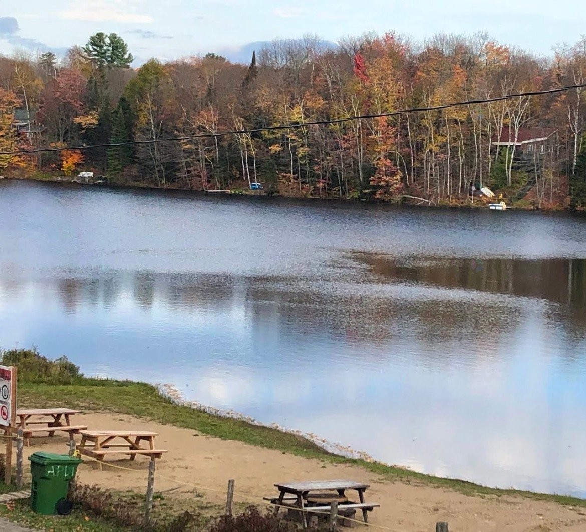 









16


Ch. du Lac

,
Brownsburg-Chatham,




QC
J8G2M1

