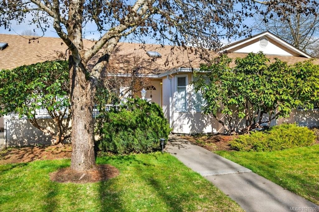 









50


Anderton

Ave, 5,
Courtenay,




BC
V9N 2G4

