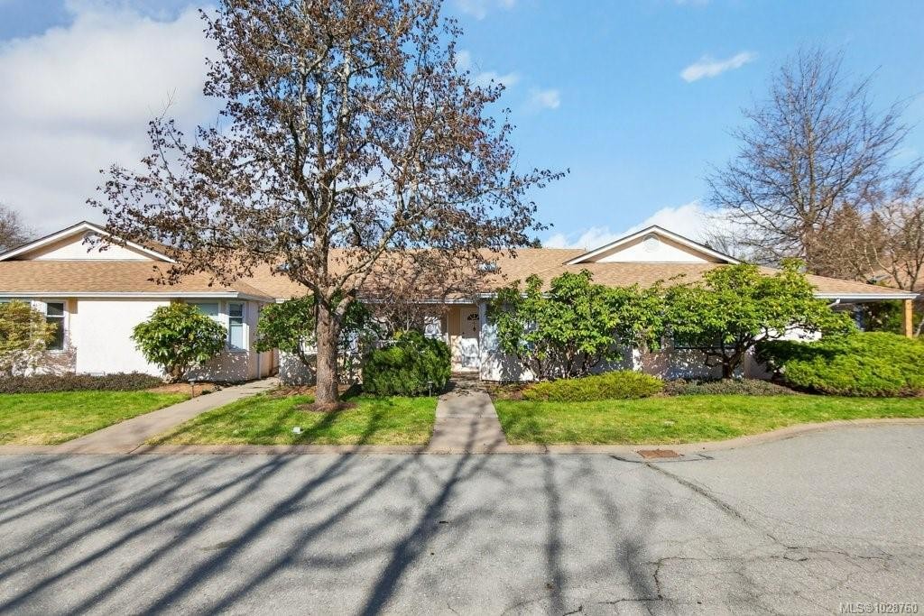 









50


Anderton

Ave, 5,
Courtenay,




BC
V9N 2G4

