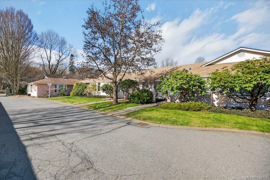 









50


Anderton

Ave, 5,
Courtenay,




BC
V9N 2G4

