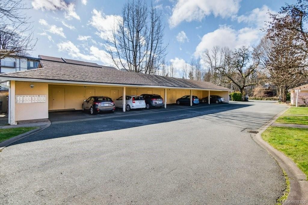









50


Anderton

Ave, 5,
Courtenay,




BC
V9N 2G4

