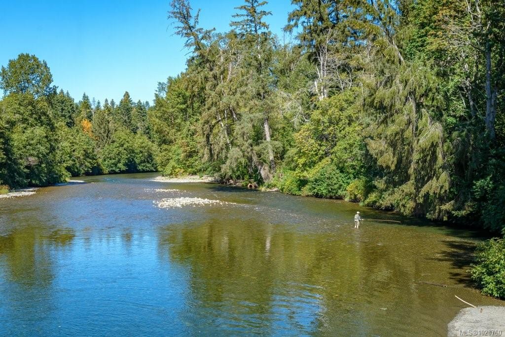 









50


Anderton

Ave, 5,
Courtenay,




BC
V9N 2G4

