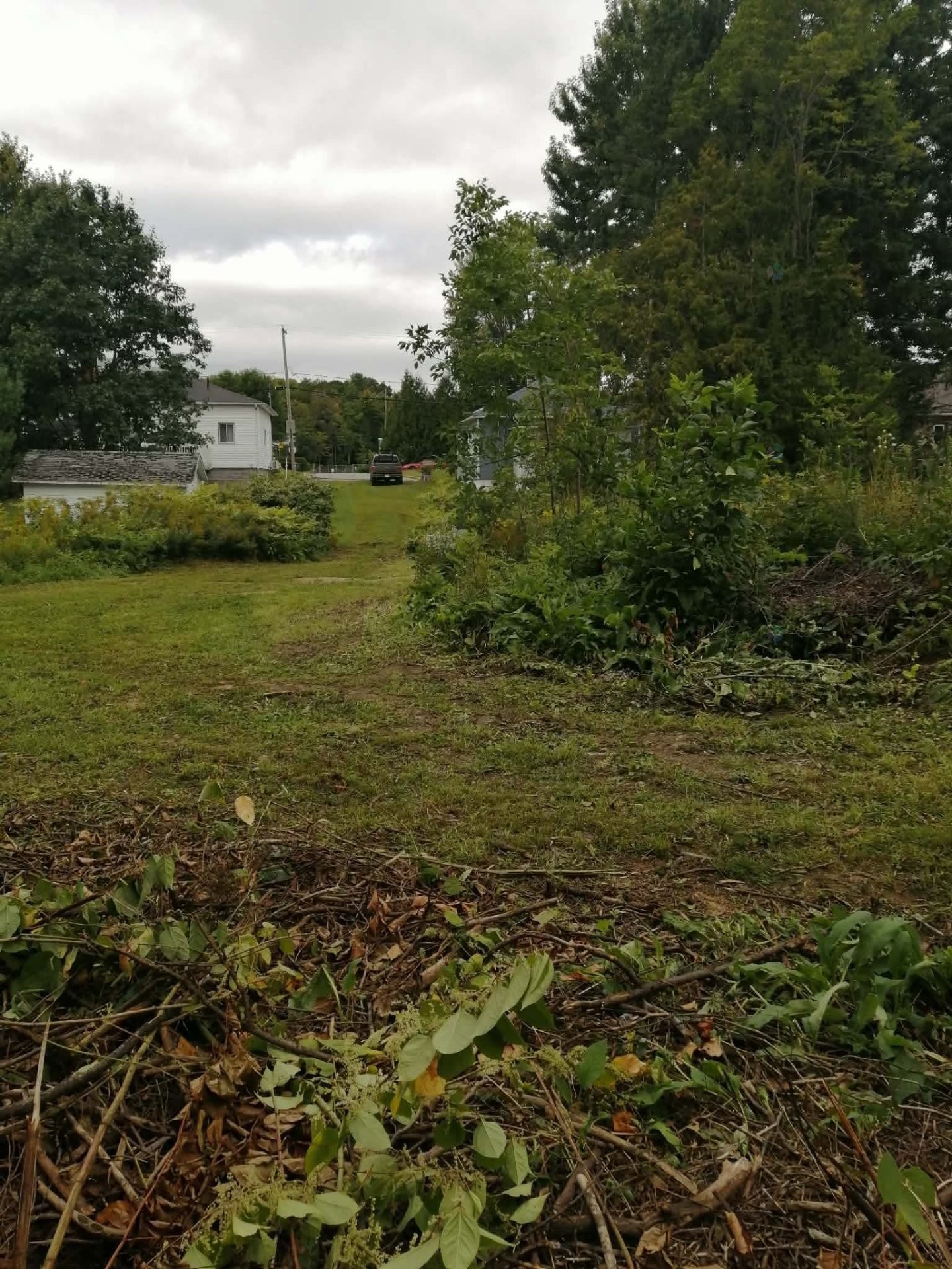 












Rue Guimont

,
Saint-Boniface,







QC
G0X2L0

