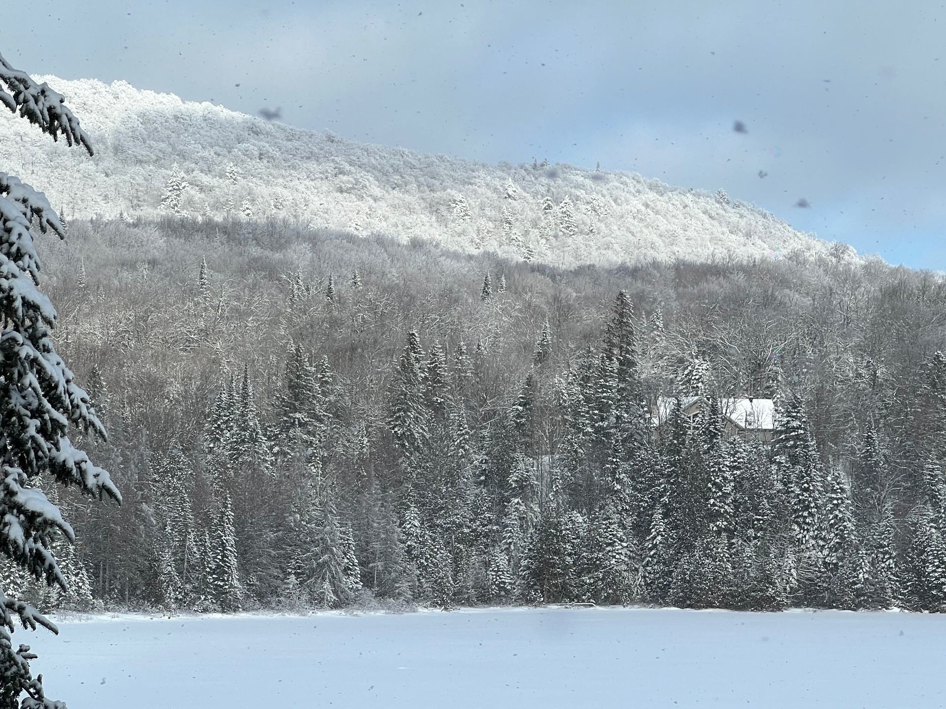 












Ch. des Sulpiciens

,
Saint-Adolphe-d'Howard,







QC
J0T2B0

