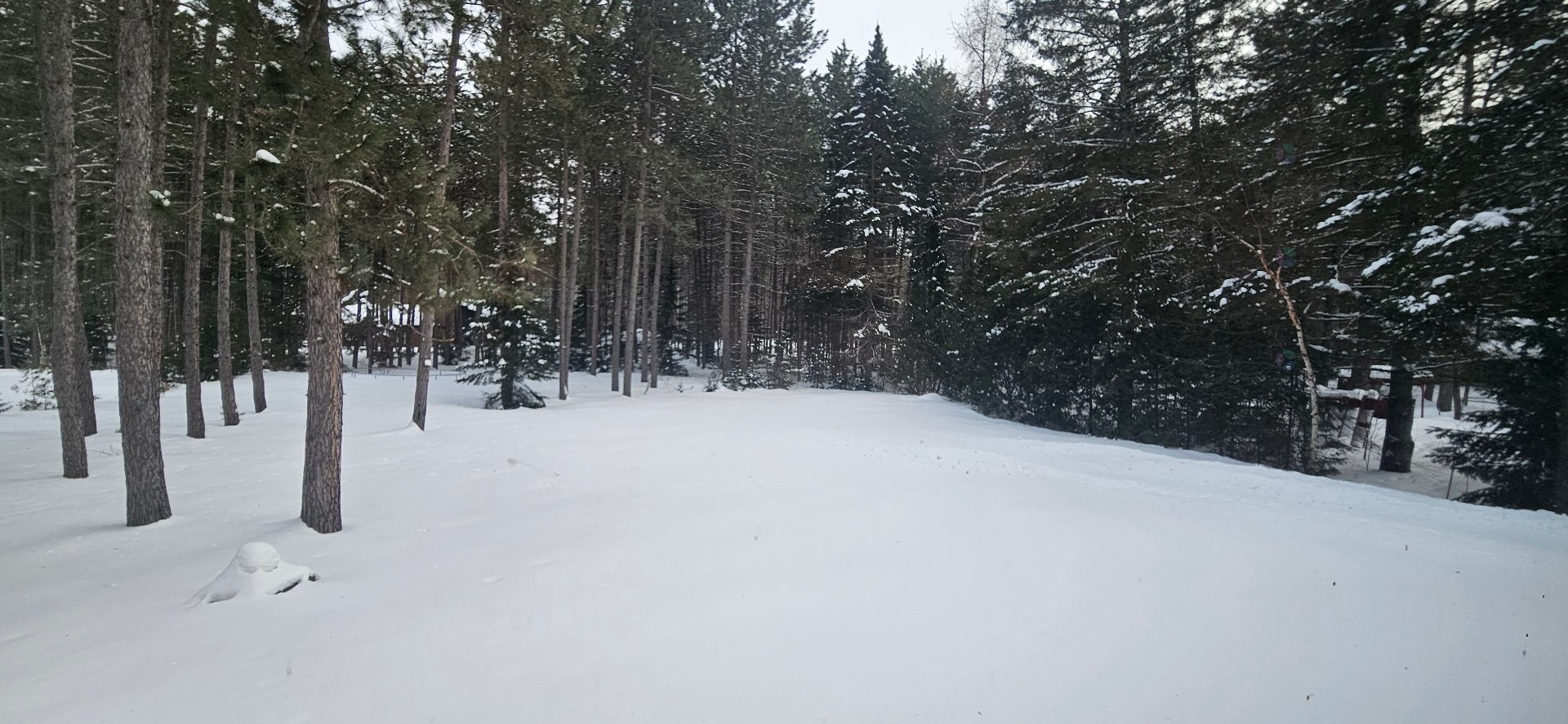 









411


Rg de la Chute-à-Lessard

,
Saint-Alexis-des-Monts,




QC
J0K1V0

