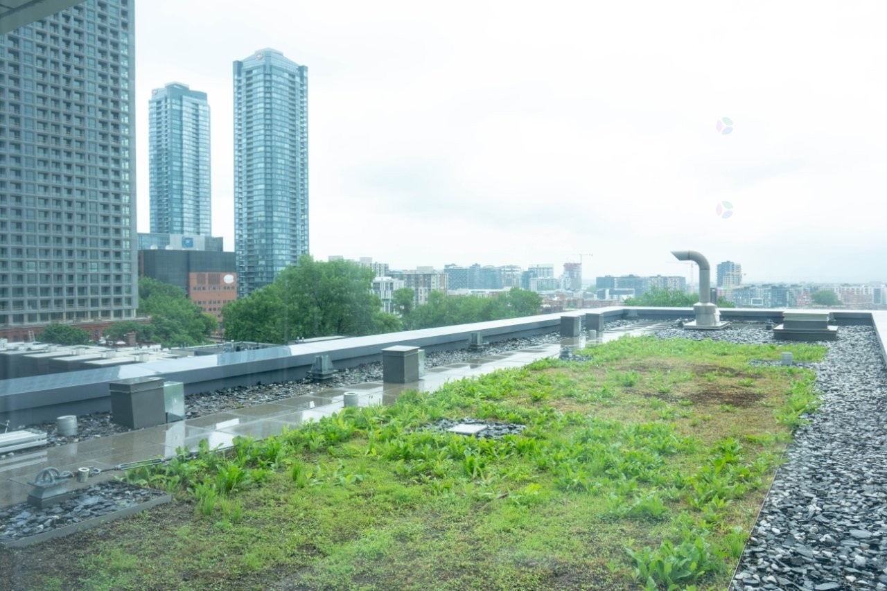 









1450


Boul. René-Lévesque O.

, 611,
Montréal (Ville-Marie),




QC
H3G0E1

