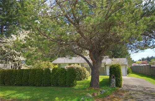 Featured Listing Photo 