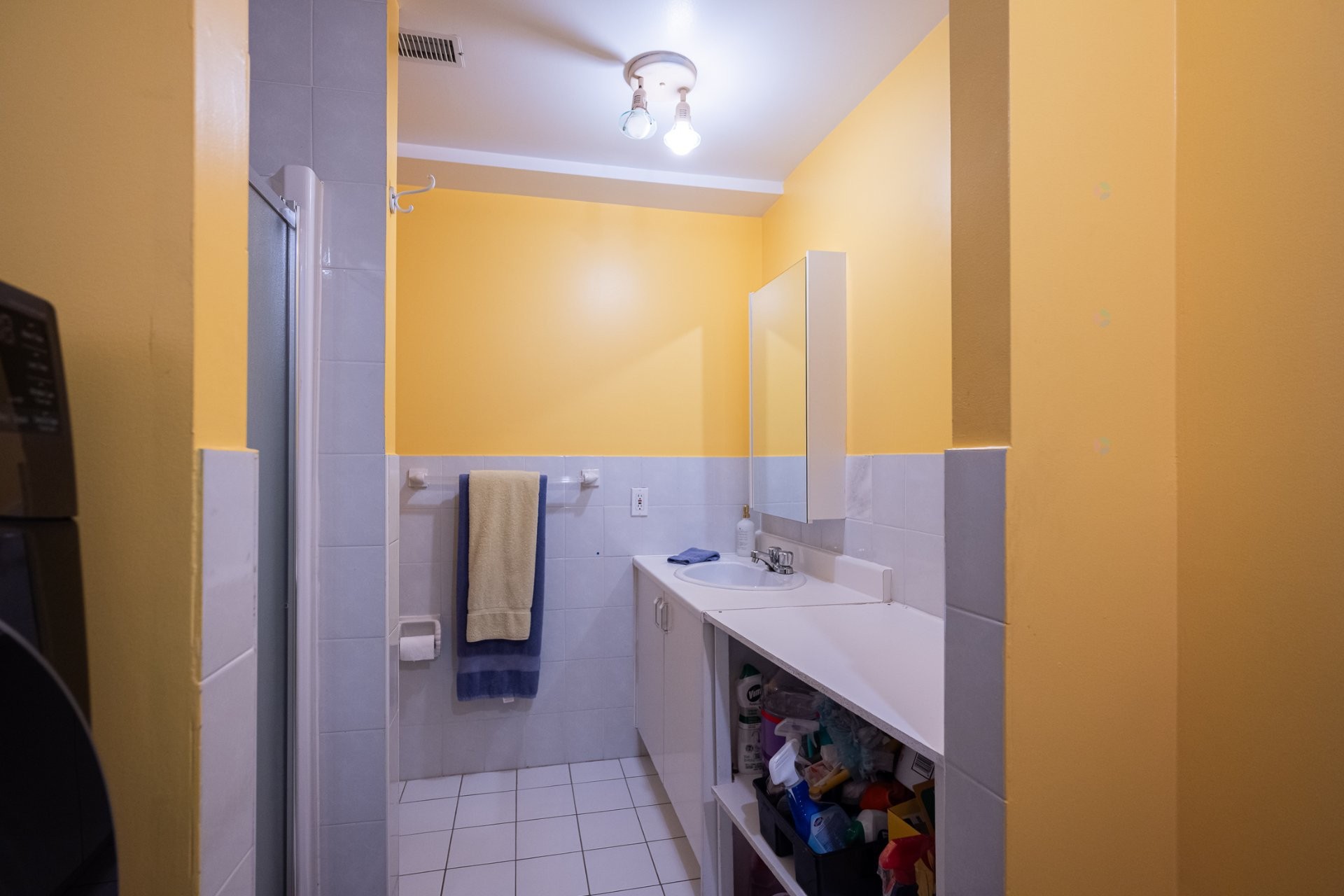 









165


Rue Vanasse

,
Laval (Sainte-Dorothée),




QC
H7X3L8

