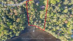 Amazing Privacy at Your Year Round Lakefront Oasis
