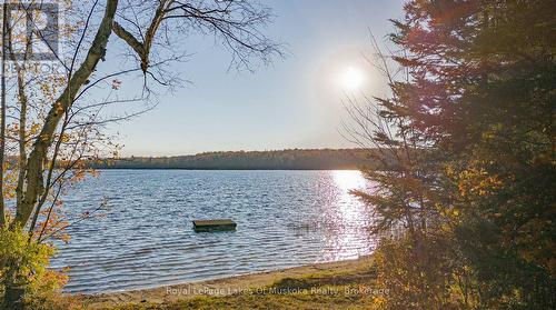 Amazing Sunsets from the Sandy Shoreline