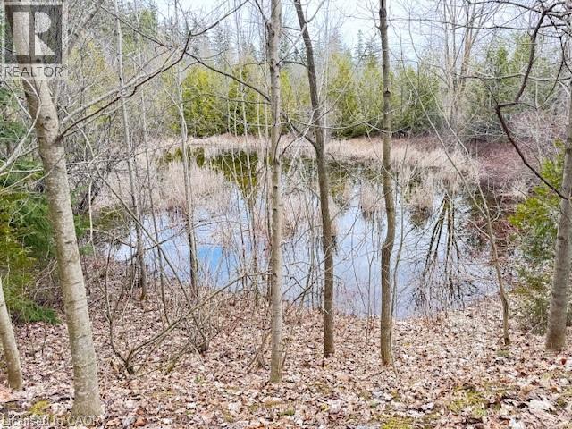 












156 BARDEN Street

,
Eden Mills,







Ontario
N0B1P0

