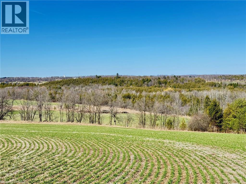 












156 BARDEN Street

,
Eden Mills,







Ontario
N0B1P0

