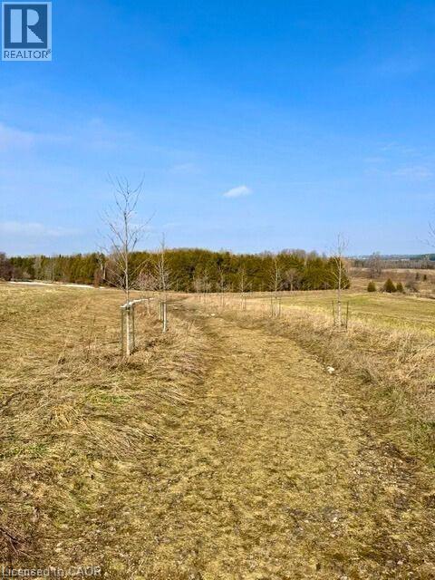 












156 BARDEN Street

,
Eden Mills,







Ontario
N0B1P0


