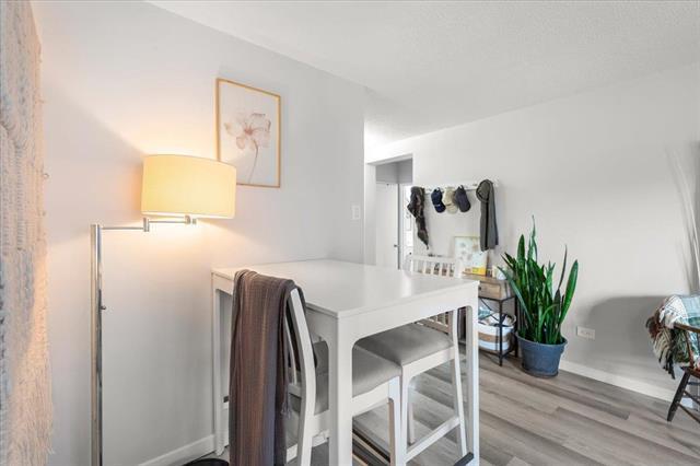 









246


Roslyn

RD, 607,
Winnipeg,




MB
R3L 0H2

