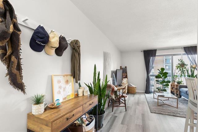 









246


Roslyn

RD, 607,
Winnipeg,




MB
R3L 0H2

