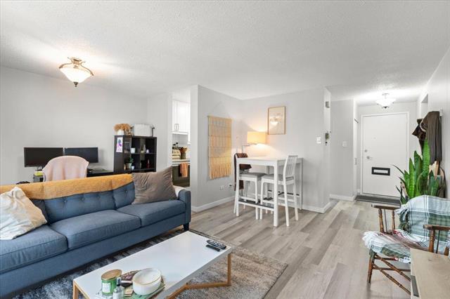 









246


Roslyn

RD, 607,
Winnipeg,




MB
R3L 0H2

