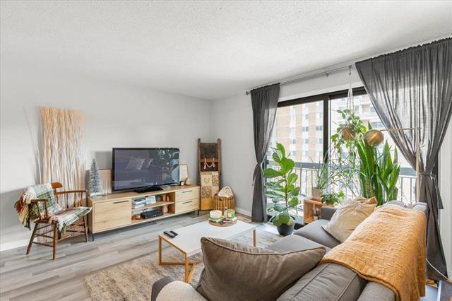 









246


Roslyn

RD, 607,
Winnipeg,




MB
R3L 0H2

