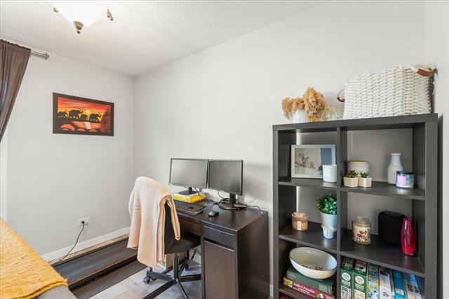 









246


Roslyn

RD, 607,
Winnipeg,




MB
R3L 0H2

