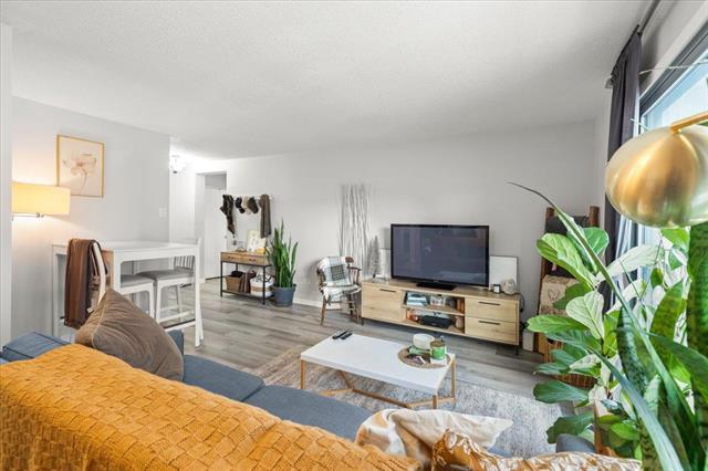 









246


Roslyn

RD, 607,
Winnipeg,




MB
R3L 0H2

