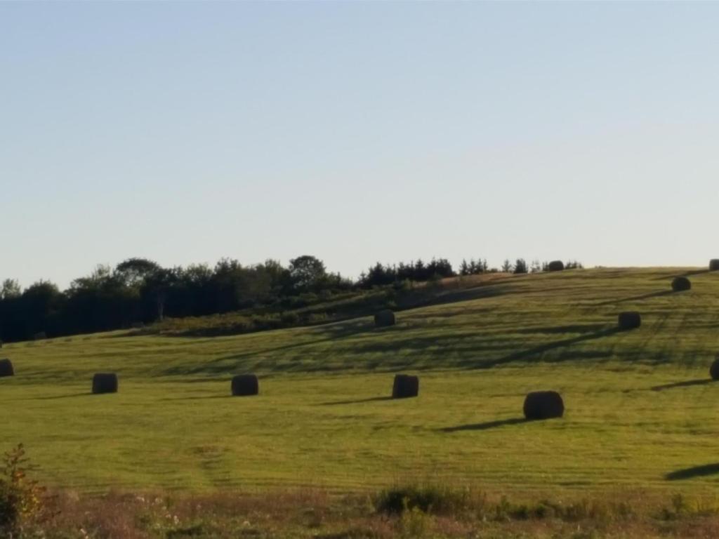 












4105 Highway 316 Highway

,
St Andrew's,







NS
B2G 2L4

