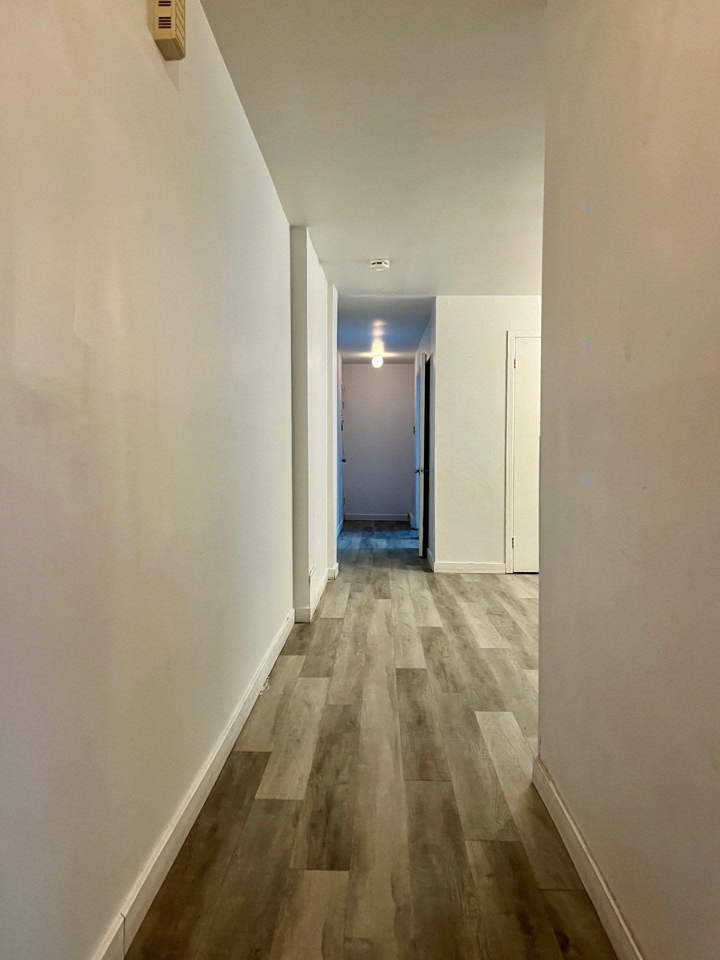 









5742


Av. Auteuil

, 5,
Brossard,




QC
J4Z1M7

