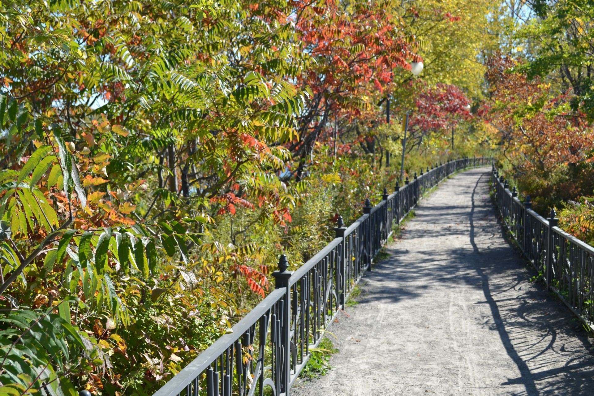 









8392


Rue Centrale

,
Montréal (LaSalle),




QC
H8P1M8

