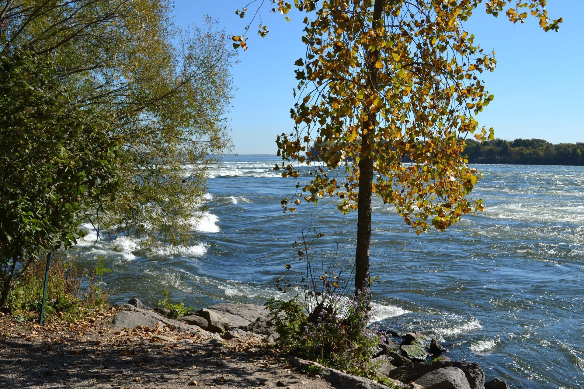 









8392


Rue Centrale

,
Montréal (LaSalle),




QC
H8P1M8

