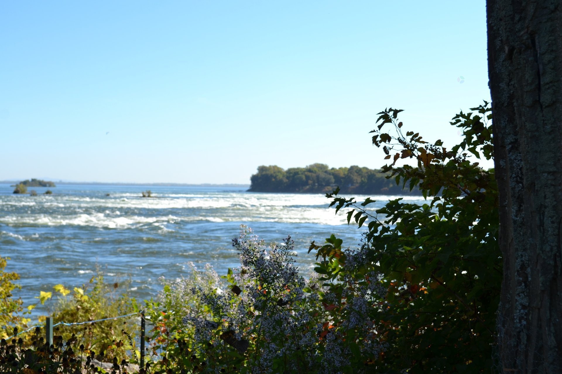 









8392


Rue Centrale

,
Montréal (LaSalle),




QC
H8P1M8

