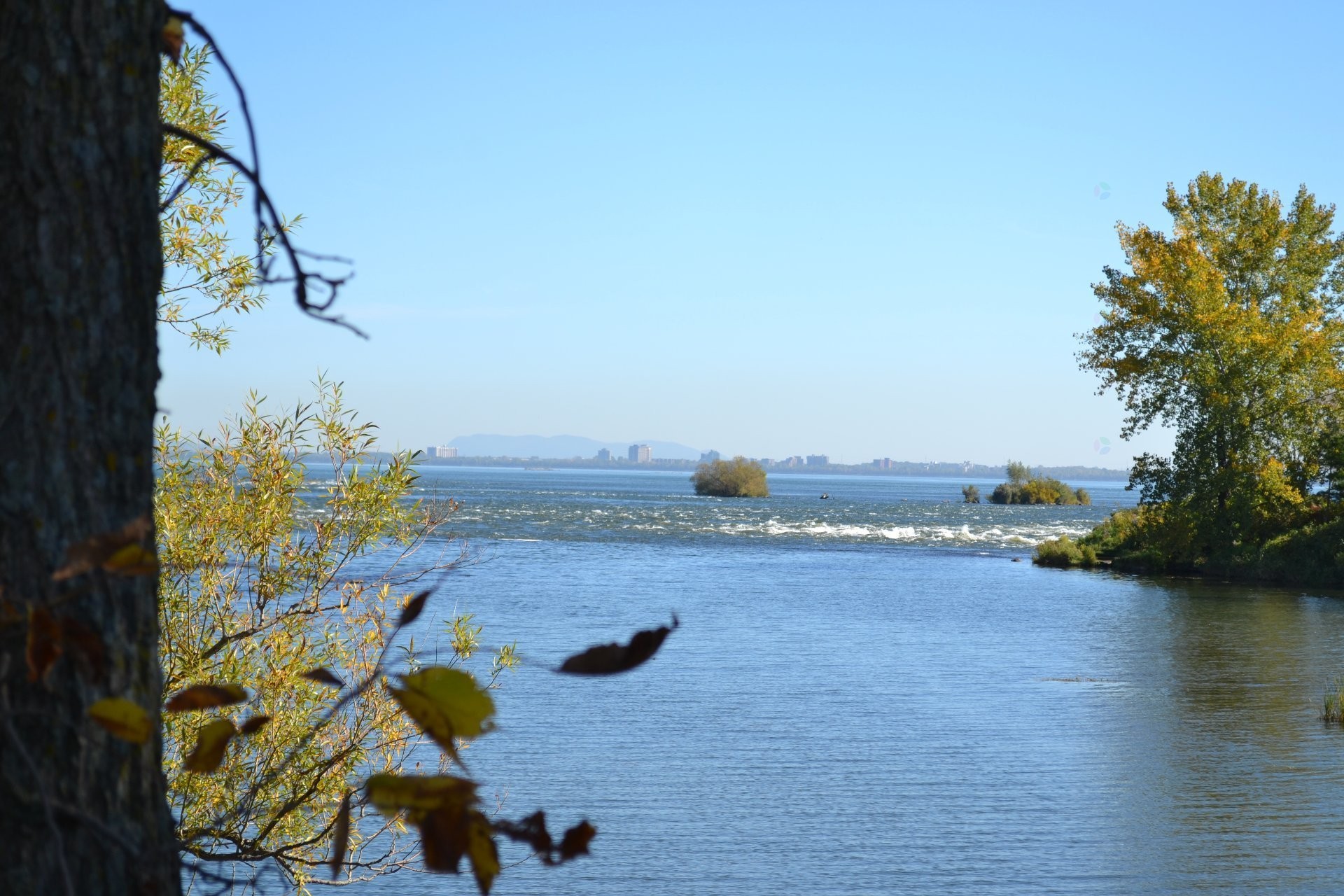 









8392


Rue Centrale

,
Montréal (LaSalle),




QC
H8P1M8

