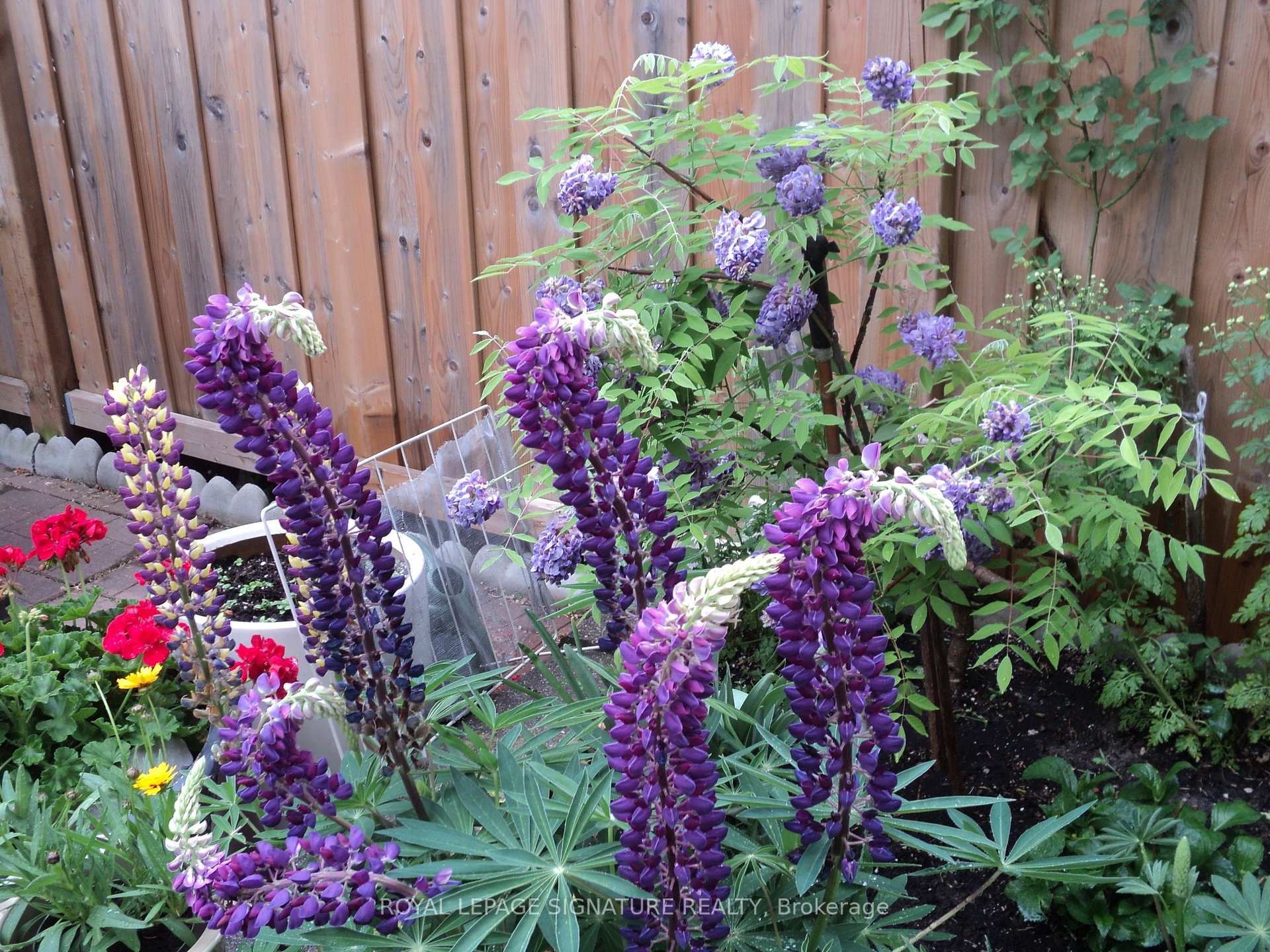 









136


Cranbrooke

Avenue,
Toronto,




ON
M5M 1M5

