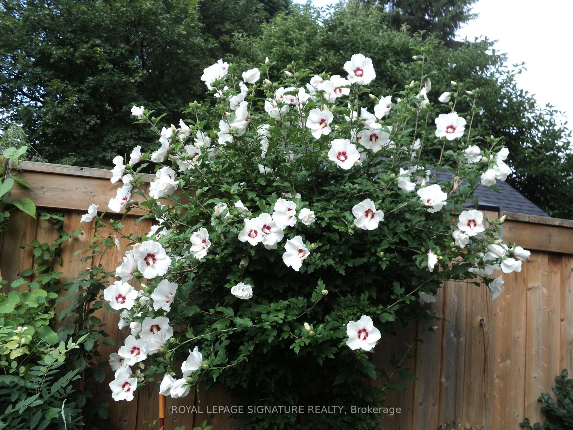 









136


Cranbrooke

Avenue,
Toronto,




ON
M5M 1M5

