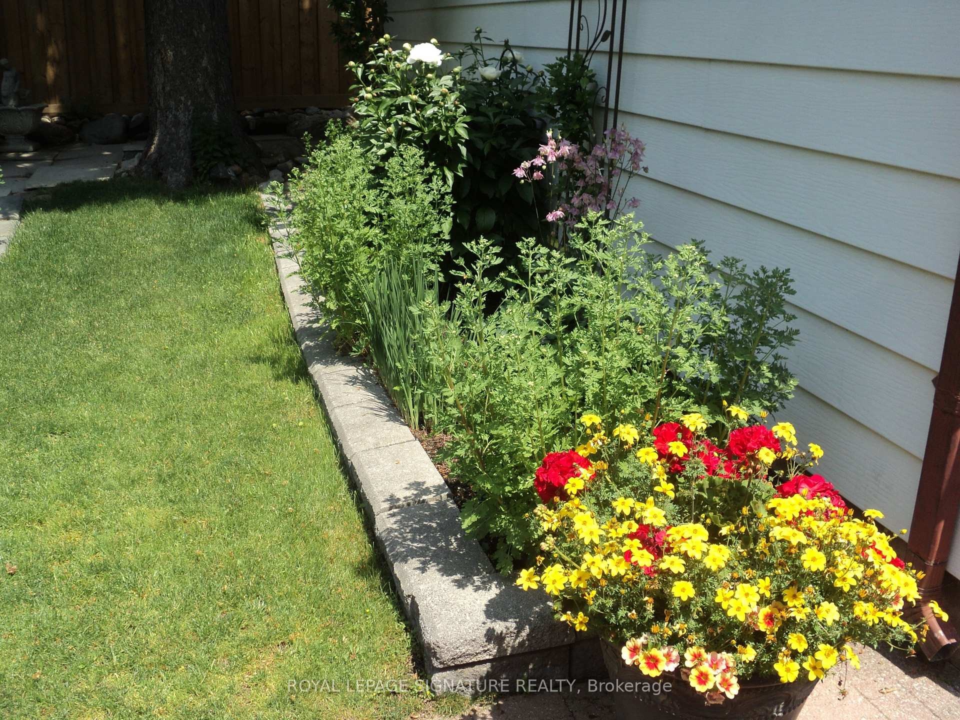 









136


Cranbrooke

Avenue,
Toronto,




ON
M5M 1M5

