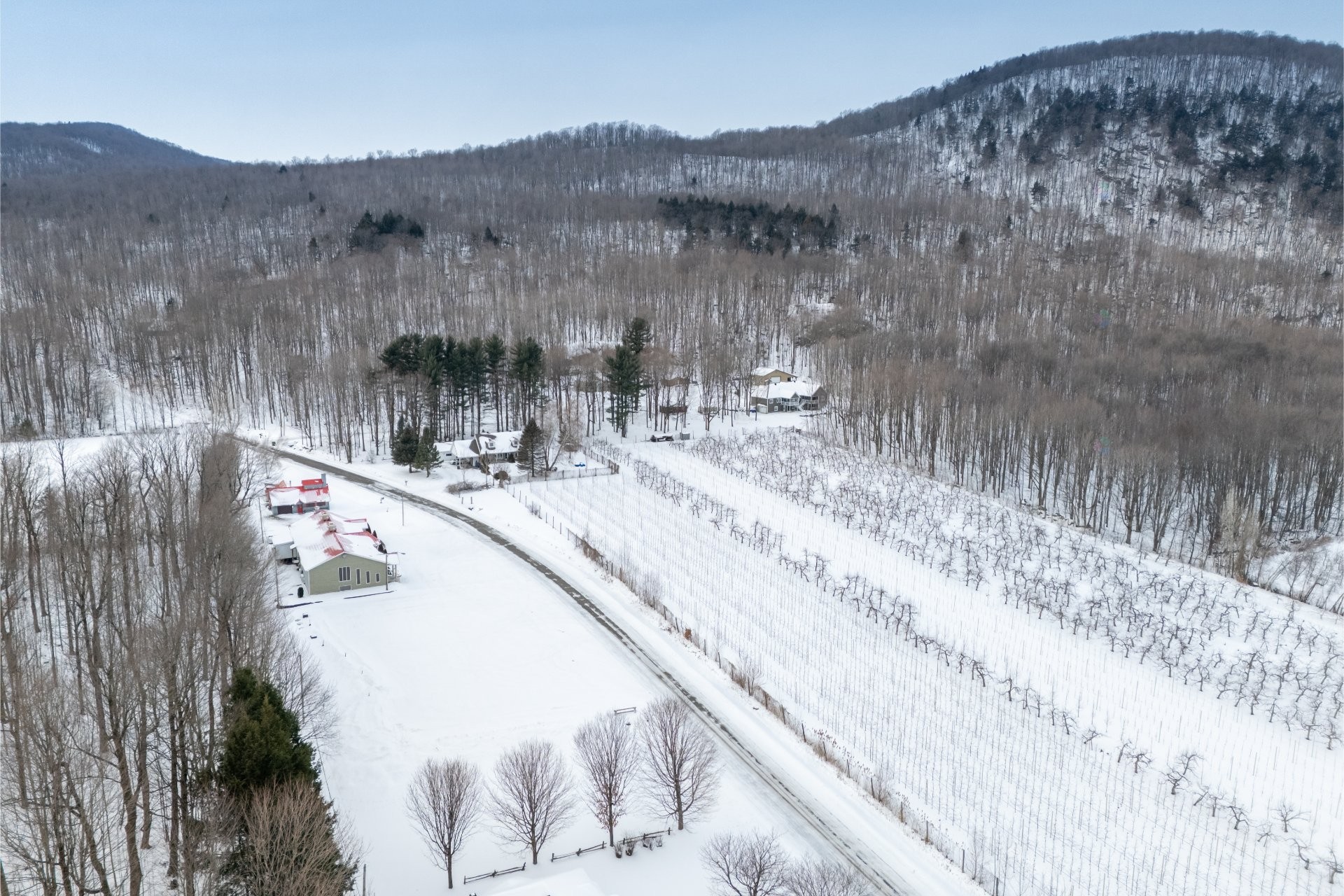 









20


Rue de la Citadelle

,
Saint-Paul-d'Abbotsford,




QC
J0E1A0

