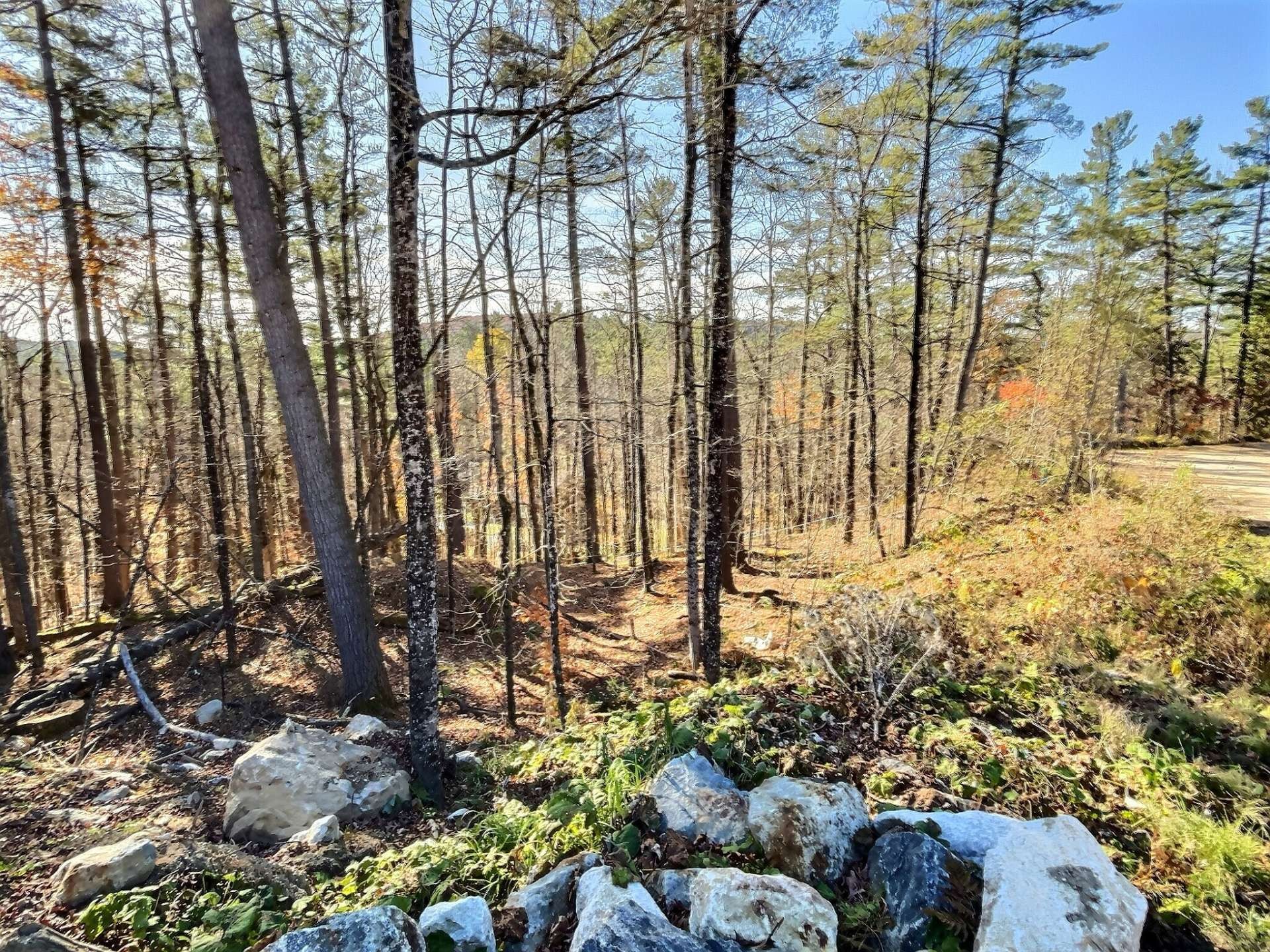 









27


Ch. de la Lyrique

,
Val-des-Monts,







QC
J8N5B3

