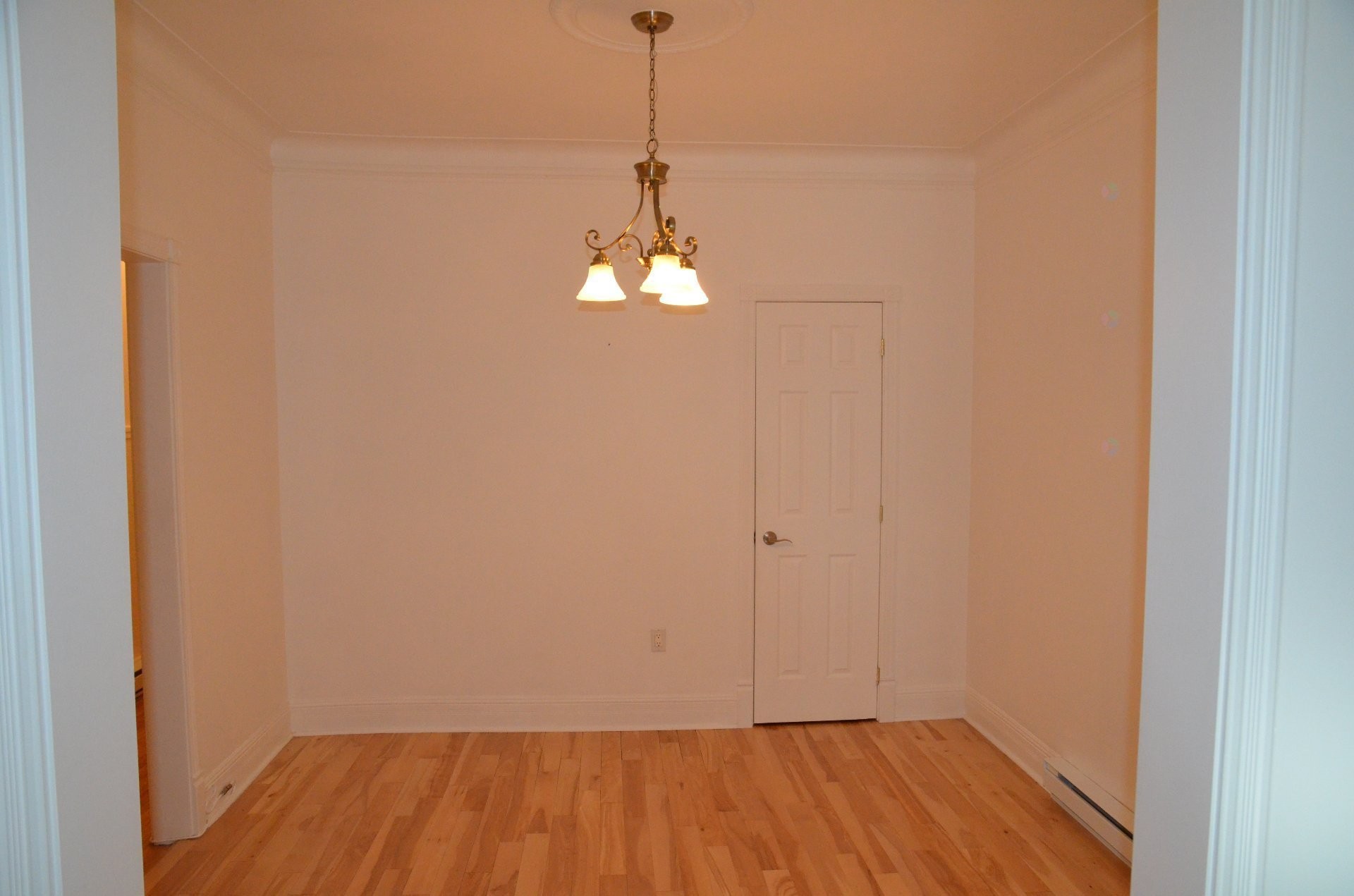 









5434


14e Avenue

,
Montréal (Rosemont/La Petite-Patrie),




QC
H1X2W2

