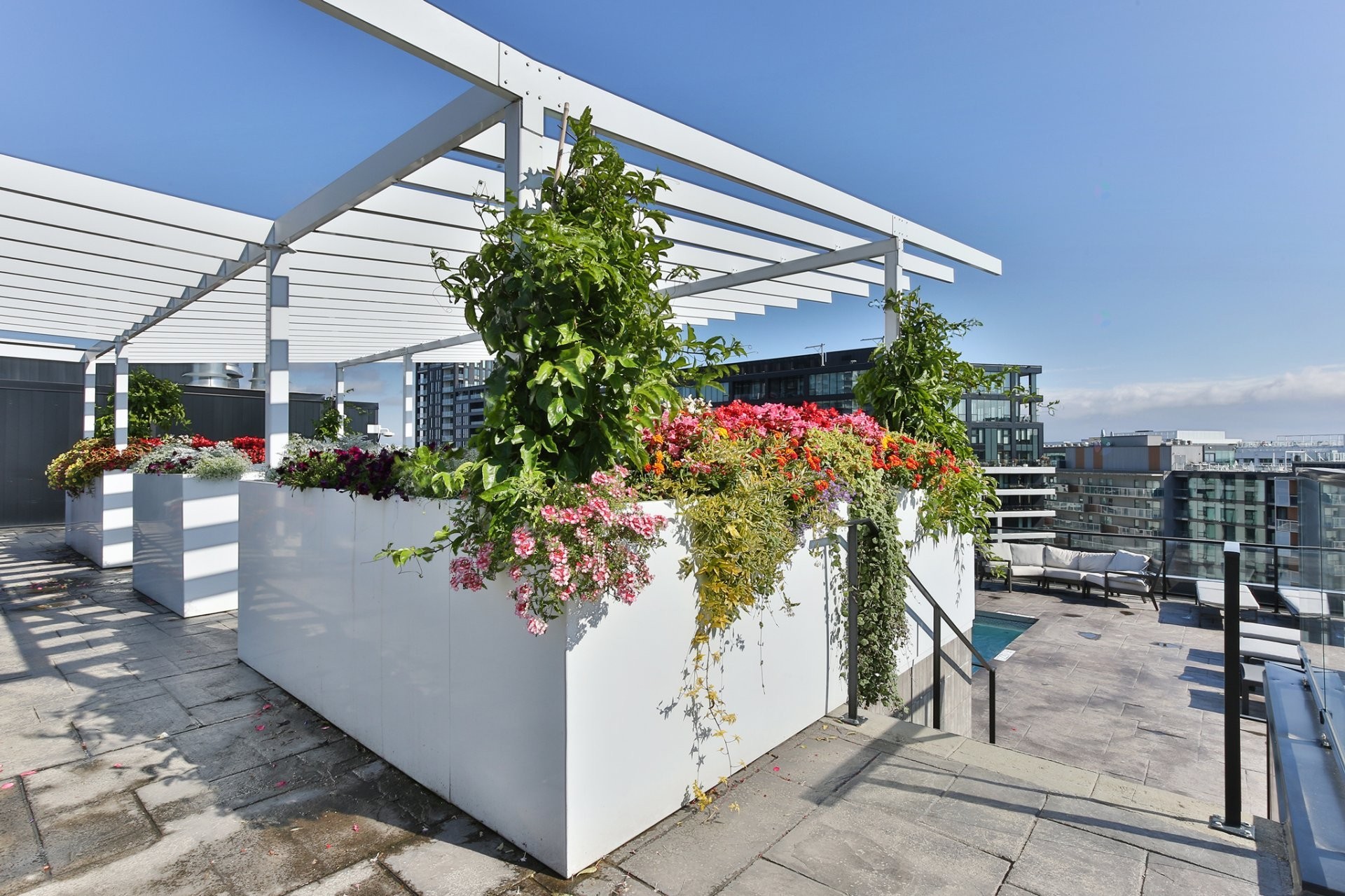 









700


Rue des Éclaircies

, 714,
Brossard,




QC
J4Z0P9

