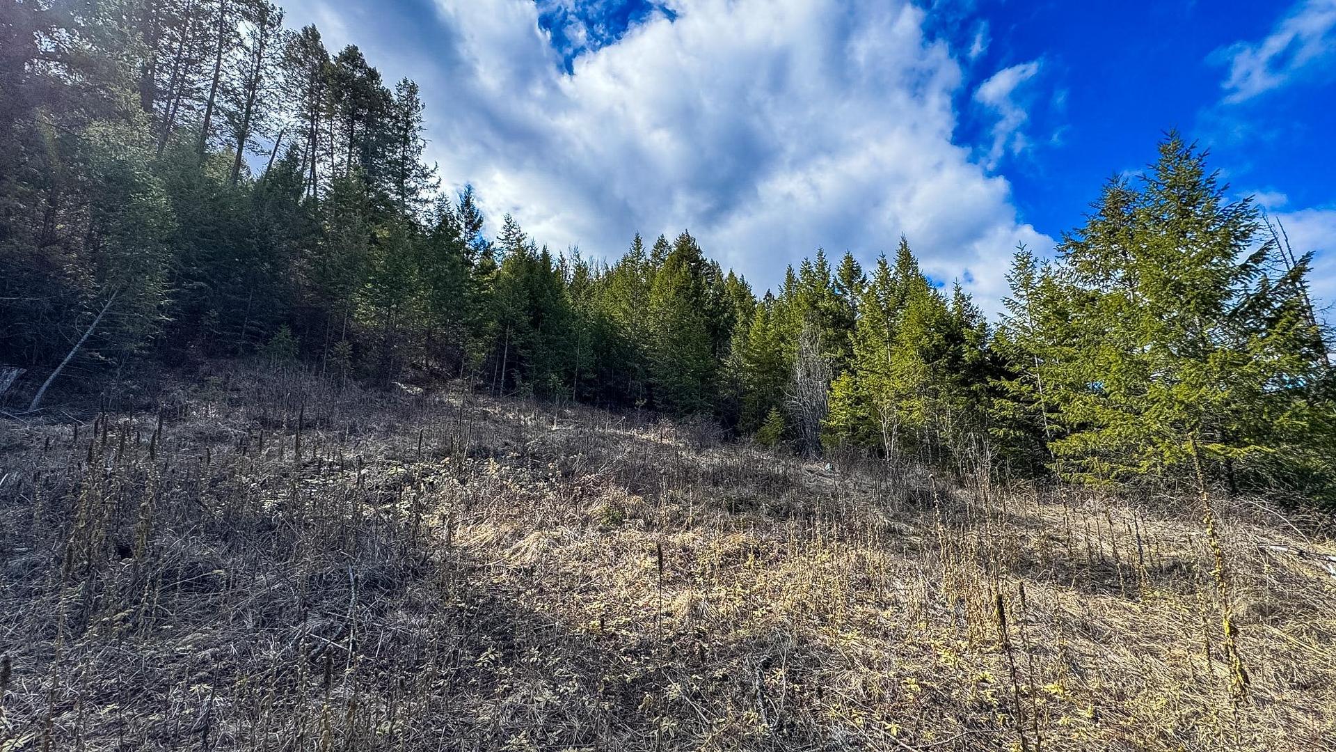 









DL 862


3

Highway,
Rock Creek,







BC
V0H 1Y0

